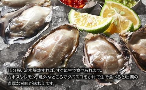 【数量限定】【CAS凍結】ひがた美人殻付き10粒 | 牡蠣 国産 ひがた美人 生食可 生牡蠣 ブランド牡蠣 カキ かき 海鮮 海 海の幸 大分県 中津市