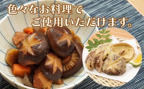 大分県産 原木椎茸2種食べ比べセットE(香信・椎茸)  |干し椎茸 乾燥椎茸 乾しいたけ しいたけ 九州産 中津市 国産 送料無料