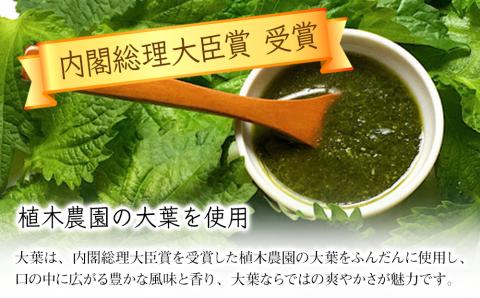 大葉ソース ジェノベーゼ風 90g×3個セット | 田中醤油 植木農園 大葉使用 大葉 調味料 パスタソース スパゲッティ ピザソース ジェノベーゼソース ジェノベーゼ ソース バケット サラダ たれ タレ ドレッシング 大分県産 九州産 大分県 中津市