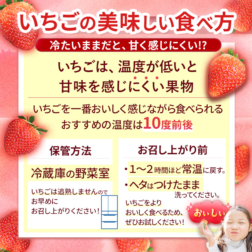 大分県ブランド いちご ベリーツ 約 800g ( 200g×4パック ) | 苺 イチゴ いちご ベリー フルーツ 果物 くだもの 大分県産 産地直送 九州産 国産 大分県 中津市
