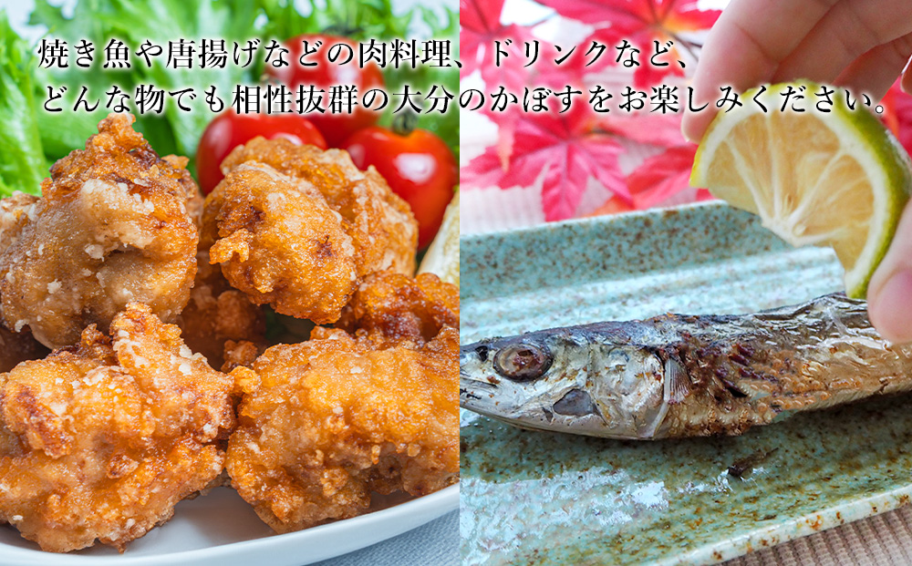 大分県産 かぼす 約 1.8kg | カボス 柑橘 かんきつ かぼす 柑橘類 果物 かぼす くだもの ビタミン フレッシュ かぼす 九州産 国産 大分県 中津市