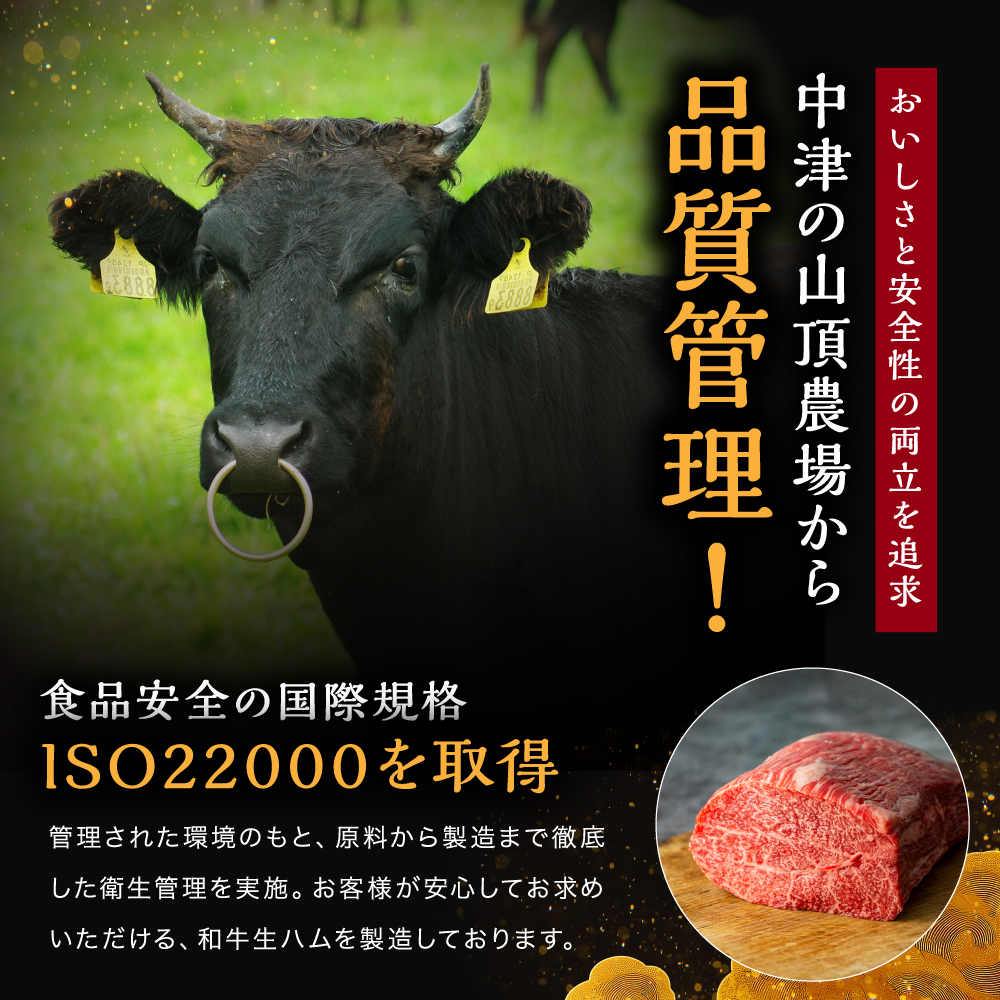 おおいた和牛 もも生ハム 50g×10P | お肉 肉 おにく にく 牛 牛肉 黒毛和牛 ブランド牛 和牛 国産牛 モモ肉 もも肉 生ハム ミートクレスト 大分県産 九州産 国産 冷凍 大分県 中津市