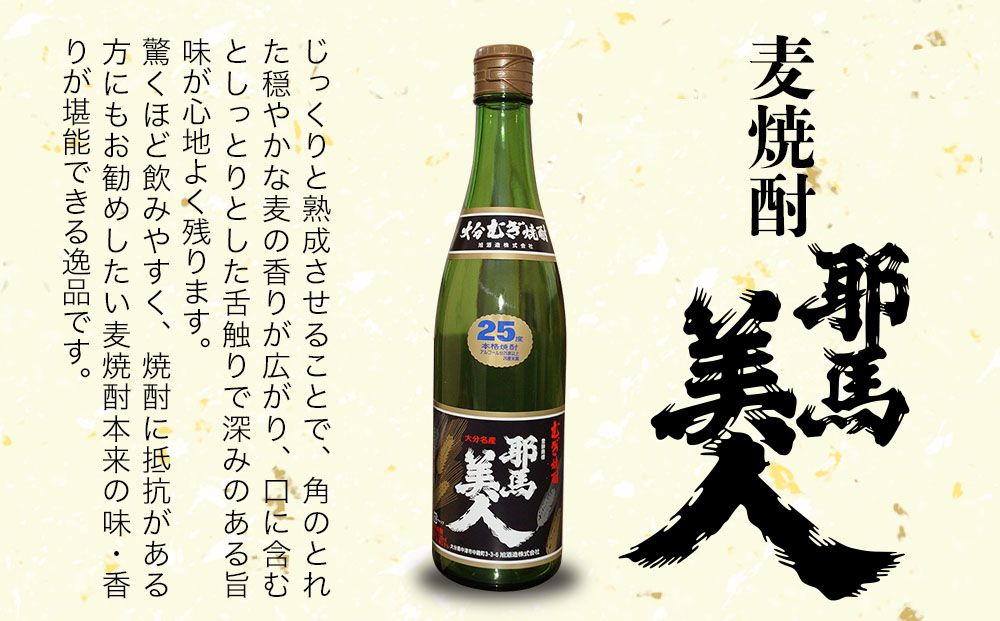 耶馬美人 25度 米焼酎 720ml×5本・麦焼酎  720ml×5本 | 大分県中津市の地酒 焼酎 酒 アルコール 大分県産 九州産 中津市 国産 送料無料