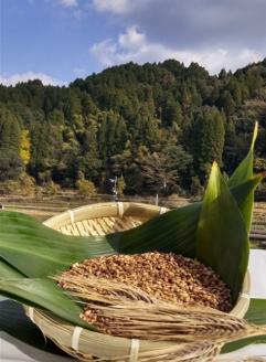 山々と源流の山国町「nakano麦園」の希少な『紫もち麦』ダイシモチ300g×2袋