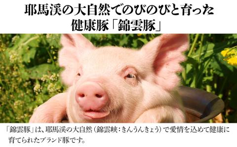 錦雲豚のとん汁セット 豚肉 しゃぶしゃぶ肉バラ・ロース各200g お味噌と柚子胡椒セット | 柚子こしょう ブランド豚 きんうんとん 大分県産 九州産 中津市 国産 送料無料