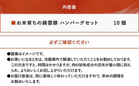 錦雲豚ハンバーグ 10個セット （100g×10個） | 惣菜 おかず 弁当 豚肉 国産 九州産 大分県産 ブランド豚 豚 錦雲豚 冷凍 小分け 送料無料