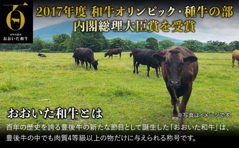 おおいた和牛 もも生ハム 50g×10P | お肉 肉 おにく にく 牛 牛肉 黒毛和牛 ブランド牛 和牛 国産牛 モモ肉 もも肉 生ハム ミートクレスト 大分県産 九州産 国産 冷凍 大分県 中津市