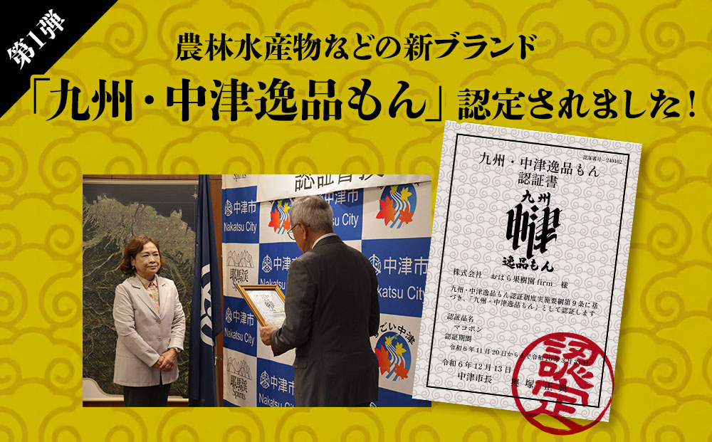 【先行予約】紅モンスター マコポン贈答用 12玉