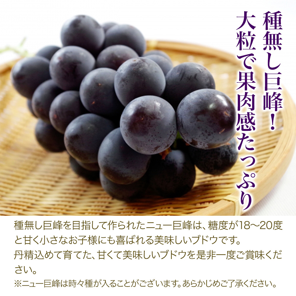 宮内果樹観光園のシャインマスカットとニュー巨峰 約2kg | フルーツ 果物 くだもの ぶどう ブドウ 葡萄 シャインマスカット マスカット 巨峰 セット 食べ比べ 産地直送 大分県 中津市