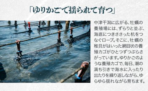 【数量限定】【CAS凍結】ひがた美人殻付き10粒 | 牡蠣 国産 ひがた美人 生食可 生牡蠣 ブランド牡蠣 カキ かき 海鮮 海 海の幸 大分県 中津市