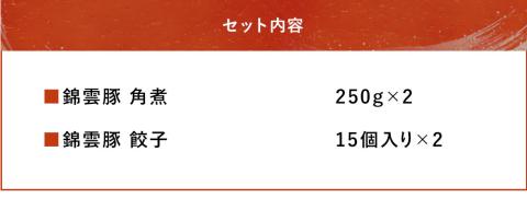 錦雲豚 角煮250g×2 餃子15個入り×2(たれ付き) | 冷凍食品 肉餃子 惣菜 冷凍おかず 冷凍餃子 豚の角煮 大分県産 九州産 中津市 国産 送料無料