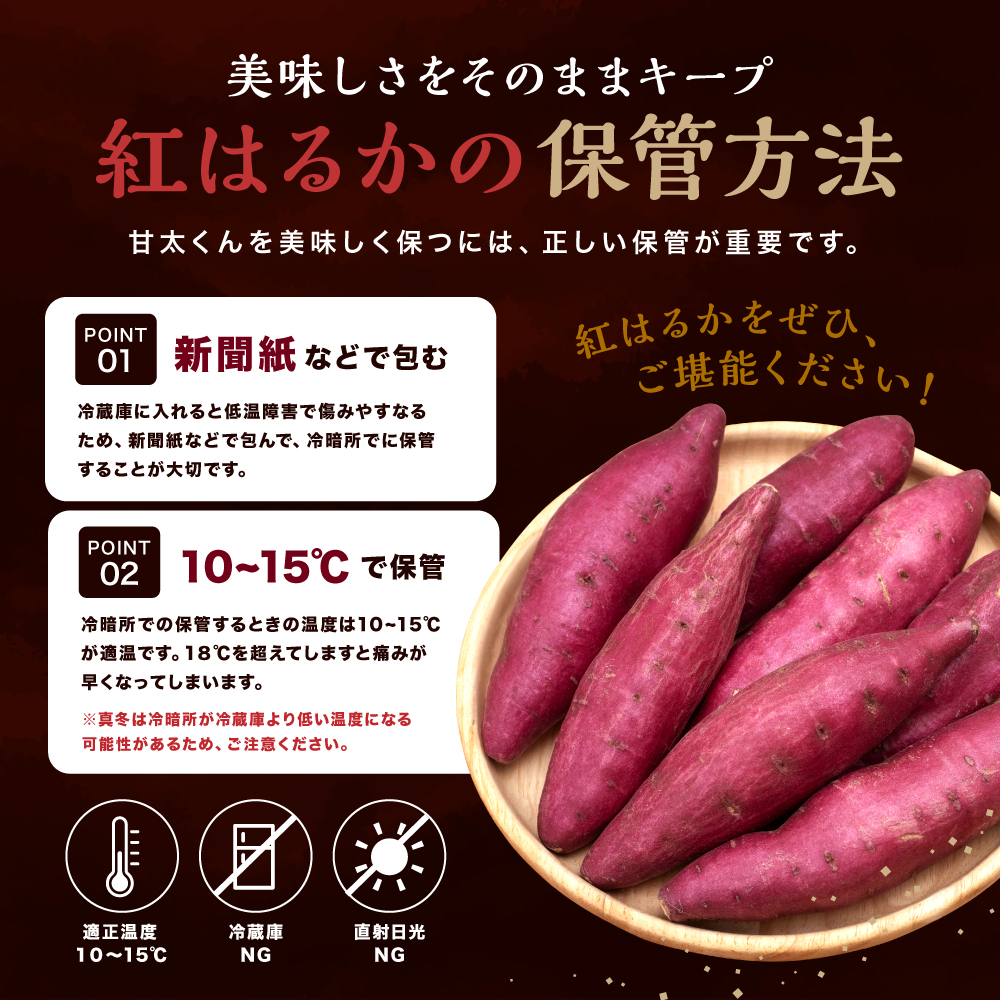 大分県産 かんしょ 甘太くん 約 5kg  M・L・2L | さつまいも さつま芋 サツマイモ 芋 いも 紅はるか べにはるか 焼き芋 おやつ ブランド 九州産 国産 大分県 中津市