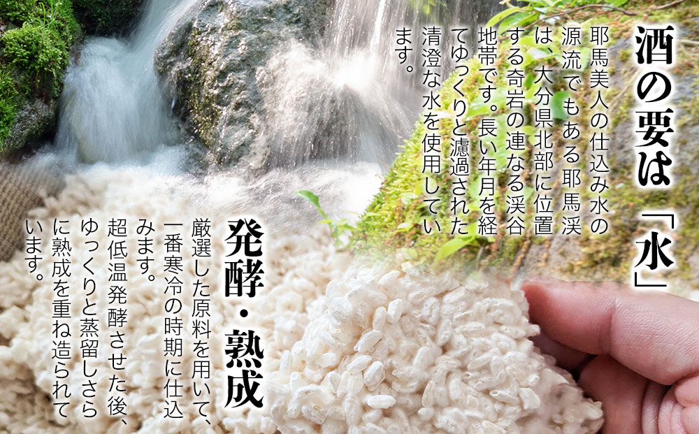 耶馬美人 25度 米焼酎 720ml×5本・麦焼酎  720ml×5本 | 大分県中津市の地酒 焼酎 酒 アルコール 大分県産 九州産 中津市 国産 送料無料