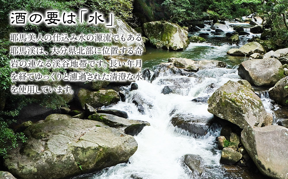 耶馬美人 25度 米焼酎・麦焼酎セット 720ml×各1本 | お酒 酒 アルコール 旭酒造 地酒 焼酎 瓶 四合瓶 本格焼酎 飲み比べ 米焼酎 麦焼酎 セット 贈答 ギフト 大分県産 九州産 国産 大分県 中津市