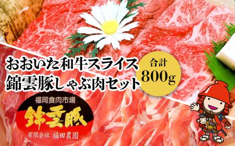 おおいた和牛 錦雲豚 しゃぶしゃぶ セット 合計800g 牛スライス肉(400g) 豚バラ肉(200g) 豚ロース肉(200g) セット ｜ 詰め合わせ おおいた和牛 黒毛和牛 冷凍 豚肉 九州産 国産 送料無料