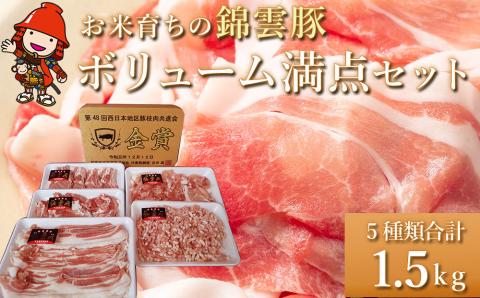 ボリューム満点 錦雲豚 ブランド肉 5種類 合計1.5kg | お肉 肉 おにく にく 豚 豚肉 セット ロース バラ肉 もも うで ミンチ 詰め合わせ ブランド豚 国産豚 ポーク 九州産 国産 冷凍 送料無料 大分県 中津市
