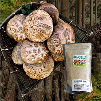 【期間限定】耶馬溪原木生椎茸と椎茸パウダー もっこり君 | <先行予約：2026年3月中旬頃発送＞ 乾燥椎茸 乾燥 しいたけ 干し椎茸 乾し椎茸 乾燥野菜 大分県 北曽木農園 中津市 九州産野菜