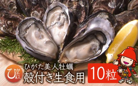 【数量限定】【CAS凍結】ひがた美人殻付き10粒 | 牡蠣 国産 ひがた美人 生食可 生牡蠣 ブランド牡蠣 カキ かき 海鮮 海 海の幸 大分県 中津市