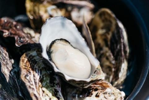 【期間・数量限定】【CAS凍結】ひがた美人殻付き30粒 | 生食可 ブランド牡蠣 殻付き かき カキ 牡蠣 海鮮 貝 カキフライ 牡蠣のグラタン 大分県 中津市