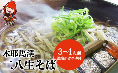 本耶馬渓 二八生そば3～4人前 (300g×2) 濃縮かけつゆ付 | そば 蕎麦 ソバ 生麺 28生そば 二八生そば つゆ つゆ付き 年越しそば 国産そば粉使用 国産 大分県産 九州産  大分県 中津市