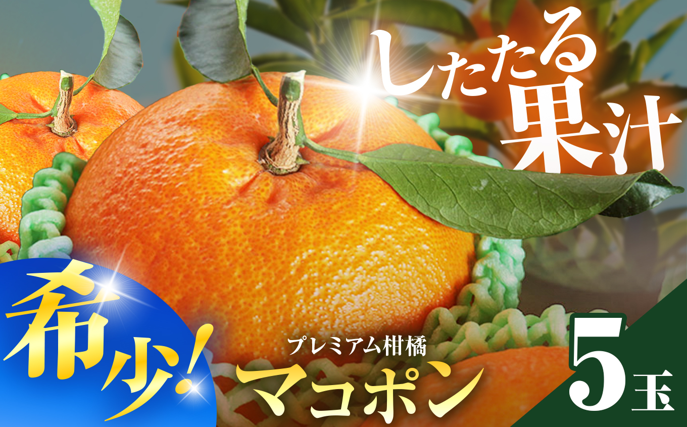 【先行予約】紅モンスター マコポン5玉