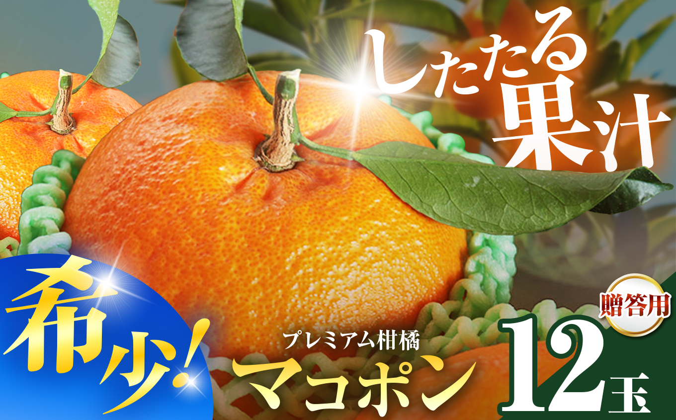 【先行予約】紅モンスター マコポン贈答用 12玉