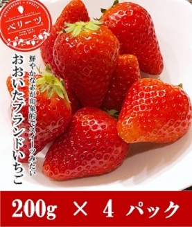 [先行予約]大分県ブランドいちご ベリーツ 200g×4パック 先行予約 苺 イチゴ フルーツ 果物 大分県産 産地直送 九州産 中津市