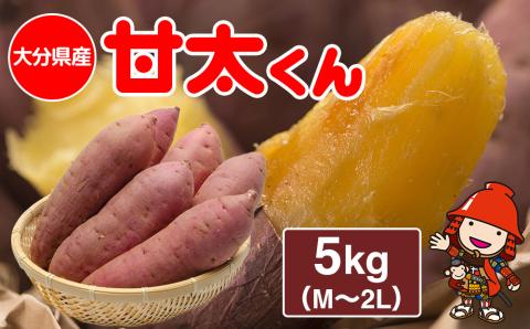 [先行予約]大分県産かんしょ 甘太くん 5kg M・L・2L さつまいも さつま芋 サツマイモ 紅はるか べにはるか 焼き芋 九州産 中津市