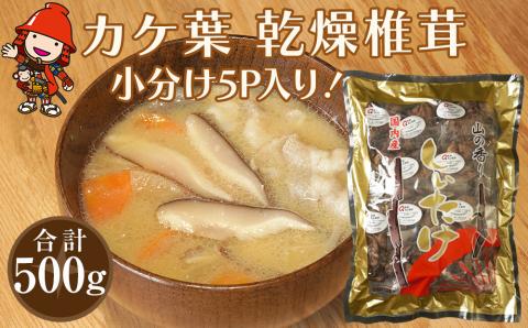 乾燥椎茸 カケ葉 椎茸 100g×5パック | 乾しいたけ 干し椎茸 干ししいたけ 乾燥しいたけ 干しシイタケ 原木 大分県産 九州産 中津市 国産 送料無料