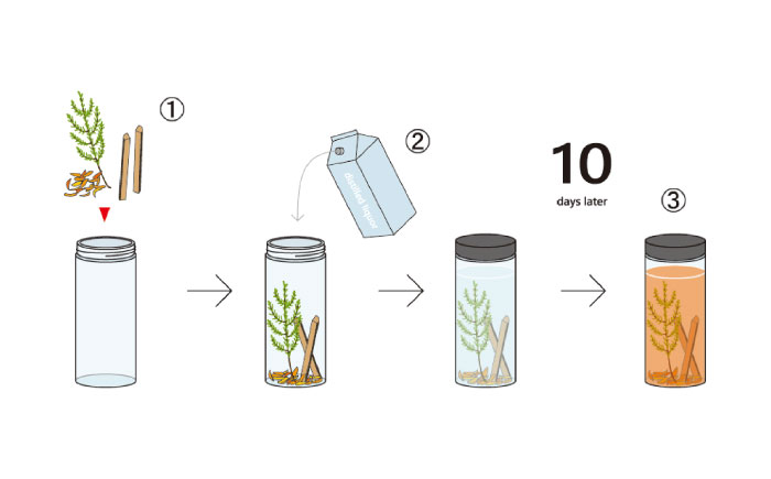 【オリジナルの1杯を】Forest Liquor Base(フォレストリカーベース)　日田市 / ライフデザインショップ エリアス　カクテル リキュール オリジナルカクテル [ARAC019]