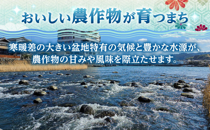 【先行予約・25年10月以降発送】日田梨 新興 5kg 梨 日田市 / 日田梨協同組合 [ARBB005]