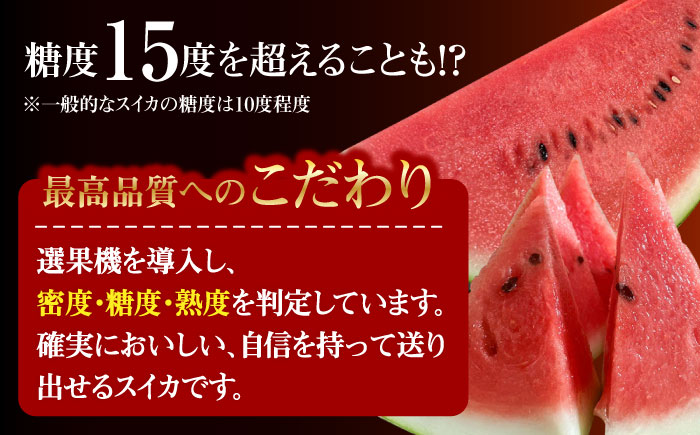 【先行予約・26年6月以降発送】日田天領 西瓜 1玉 約7kg～10kg 100サイズ スイカ 日田市 / 日田天領西瓜部会 【配送不可地域：北海道・沖縄・離島】[ARBD001]