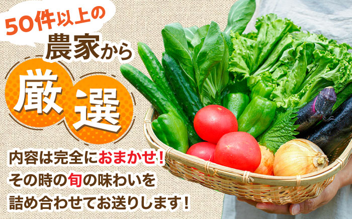 【農家セレクト！】特別栽培 日田の厳選食材 詰め合わせ 野菜セット 日田市 / 自然工房Mori 野菜 果物 米 産地直送 新鮮 セット [ARBR001]