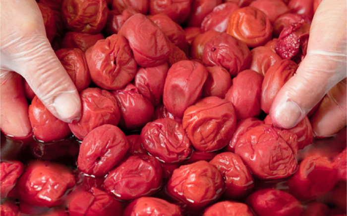 梅干し　「豊の香梅」　贈答用 計1kg（500g×2個） 日田市 / 株式会社矢野農園 [ARCF003]