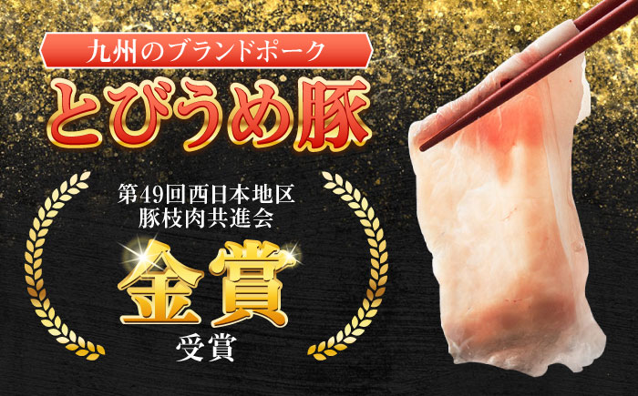 大分県日田市産 とびうめ豚 ロース しゃぶしゃぶ用 580g 日田市 / 株式会社中津留 [ARCM001]