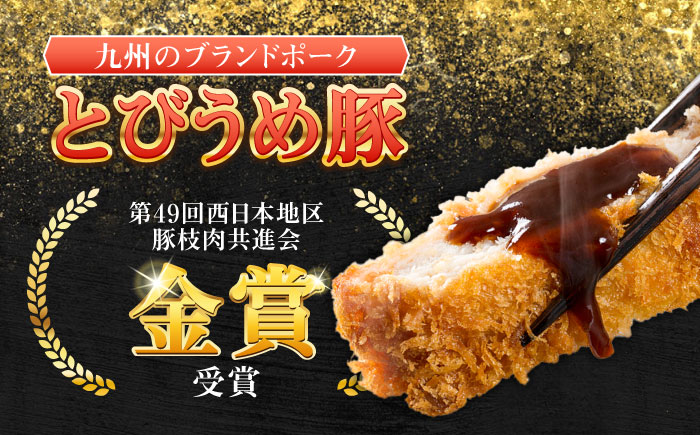 大分県日田市産 とびうめ豚 モモ とんかつ用 100g×10枚 計1kg 日田市 / 株式会社中津留 [ARCM003]