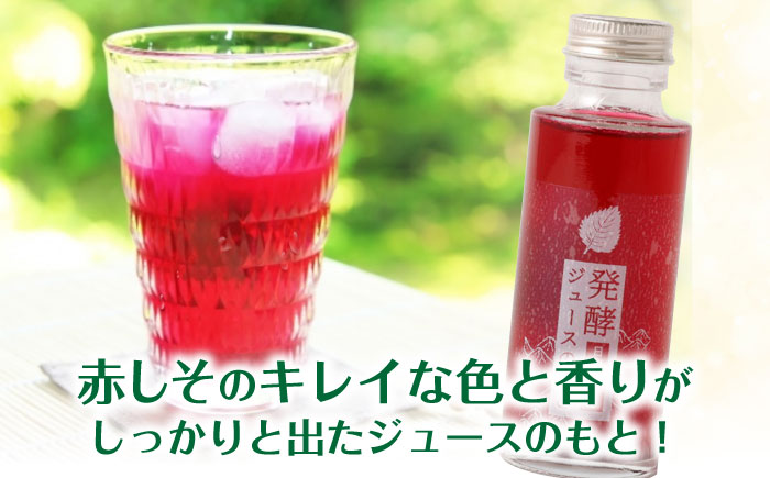【お歳暮対象】発酵ジュースのもと〈日田赤しそ〉 110ml×5本 ジュース 日田市 / 株式会社インパクト [ARDA003]