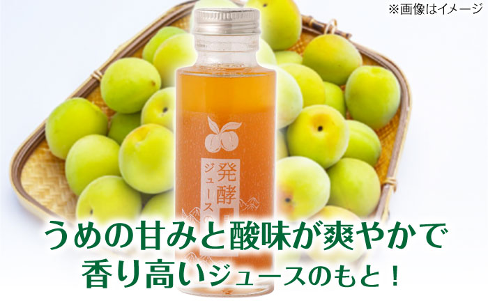 【お歳暮対象】発酵ジュースのもと〈日田うめ〉 110ml×5本 ジュース 日田市 / 株式会社インパクト [ARDA004]