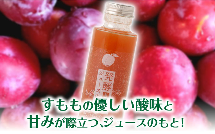 発酵ジュースのもと〈日田すもも〉 110ml×5本 ジュース 日田市 / 株式会社インパクト [ARDA005]