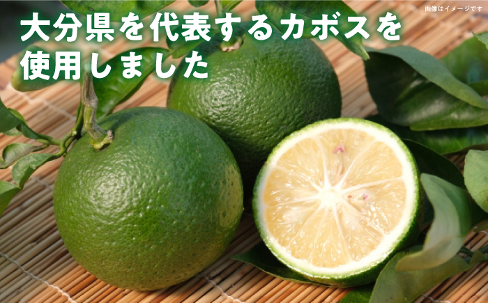 塩とカボス 495ml×24本 かぼす 日田市 / 株式会社綾部商店 [ARDC015]