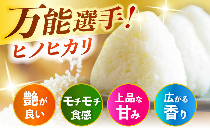 【先行予約・26年8月以降発送】令和7年産大分県産ヒノヒカリ  10kg　日田市 / JAおおいた日田グリーンセンター こめ コメ 米 [ARDX024]