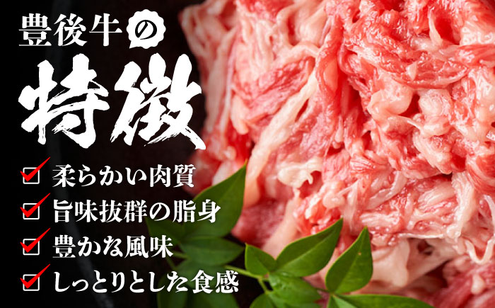 【使いやすい！】 おおいた豊後牛 牛肉 切り落とし 500g 切り落とし 日田市 / 株式会社MEAT PLUS　肉 牛肉 和牛 [AREI002] 【単品】500g