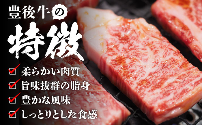 おおいた豊後牛 焼肉用 500g 焼肉 日田市 / 株式会社MEAT PLUS　牛 うし 黒毛和牛 和牛 豊後牛 [AREI021] 【単品】500g