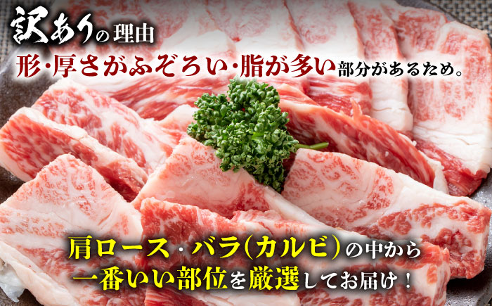 【訳あり】おおいた豊後牛 焼肉 切り落とし 500g 切り落とし 日田市 / 株式会社MEAT PLUS　牛 うし 黒毛和牛 和牛 豊後牛 [AREI032] 【単品】500g