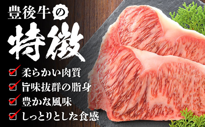 【全12回定期便】おおいた豊後牛 サーロインステーキ 500g (250g×2枚) 日田市 / 株式会社MEAT PLUS　肉 牛肉 和牛 [AREI058] 【全12回定期便】
