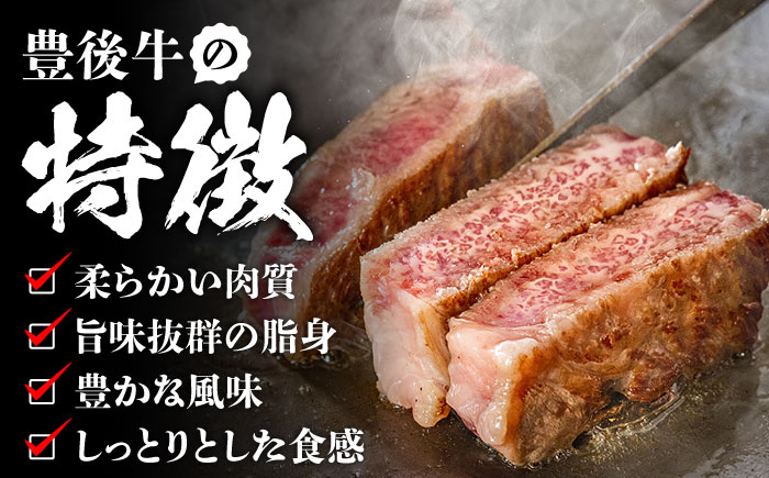【全3回定期便】【厳選部位】おおいた豊後牛 サーロイン ブロック 1kg 日田市 / 株式会社MEAT PLUS　牛 うし 黒毛和牛 和牛 豊後牛 [AREI104] 【全3回定期便】
