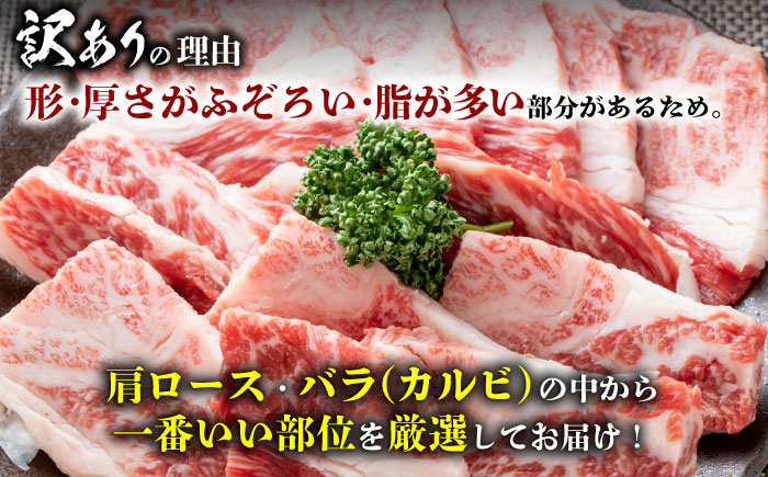 【全12回定期便】【訳あり】おおいた豊後牛 焼肉 切り落とし 1kg(500g×2P) 日田市 / 株式会社MEAT PLUS　牛 うし 黒毛和牛 和牛 豊後牛 [AREI136] 【全12回定期便】