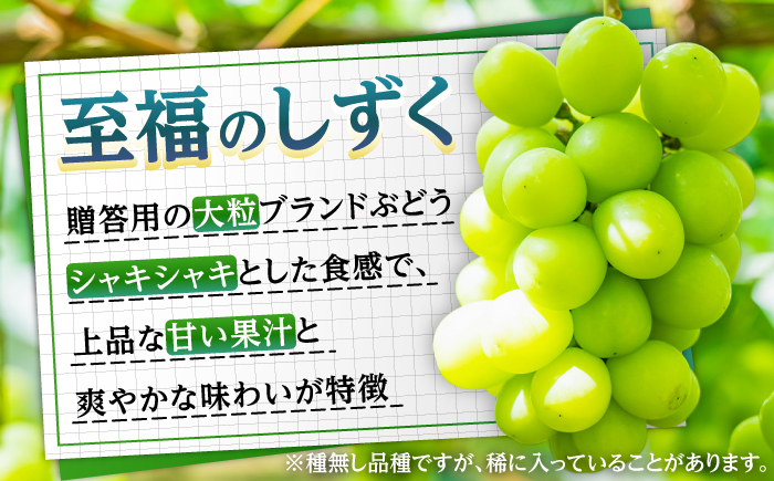 【先行予約・26年9月以降発送】日田産シャインマスカット 1房 約700g　至福のしずく ぶどう 日田市 / 松岡果樹園 [AREJ001]