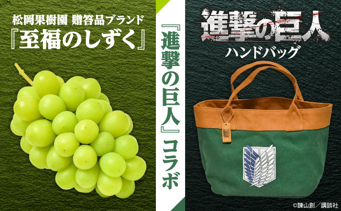 【先行予約・26年9月以降発送】進撃のシャインマスカット 1房 約700g ハンドバッグ付（調査兵団） ぶどう日田市 / 松岡果樹園 [AREJ003]