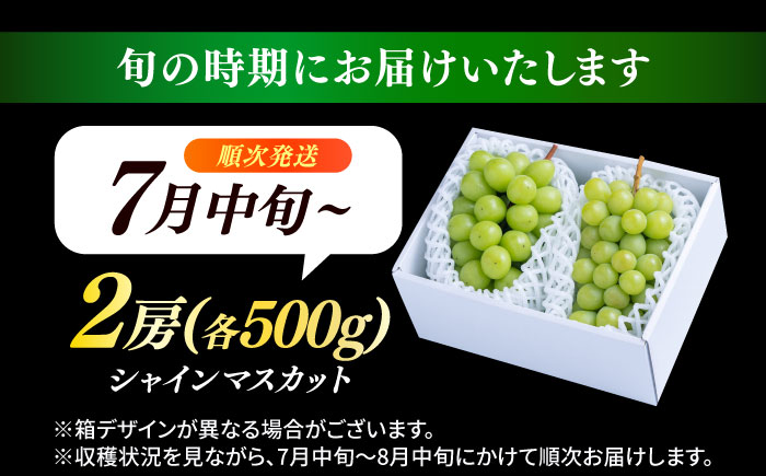 【先行予約・26年7月以降発送】 日田産シャインマスカット2房(約1kg) ぶどう　日田市 / 南国フルーツ株式会社 ブドウ 葡萄 ぶどう 【配送不可地域：離島】[ARET002]
